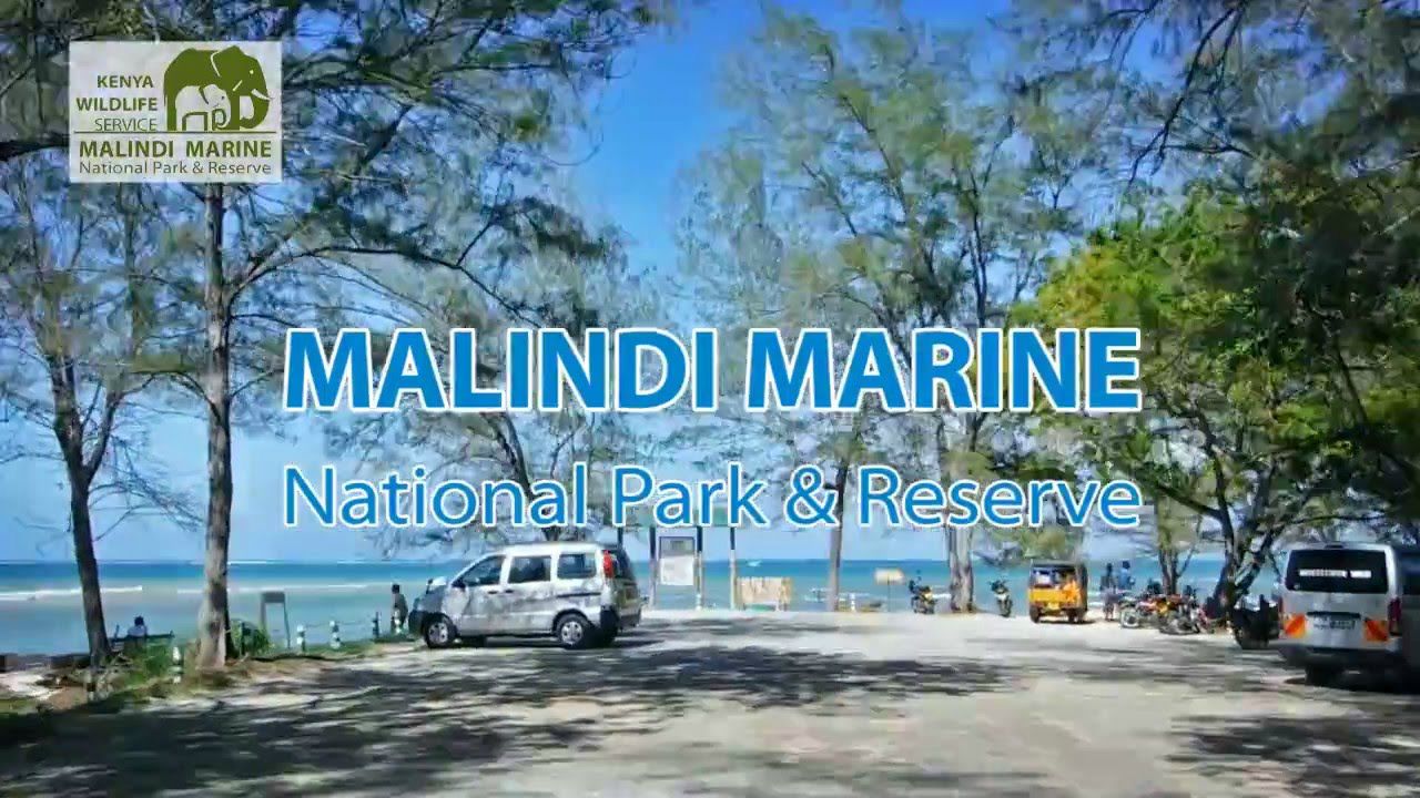 MALINDI/ WATAMU MARINE PARKS