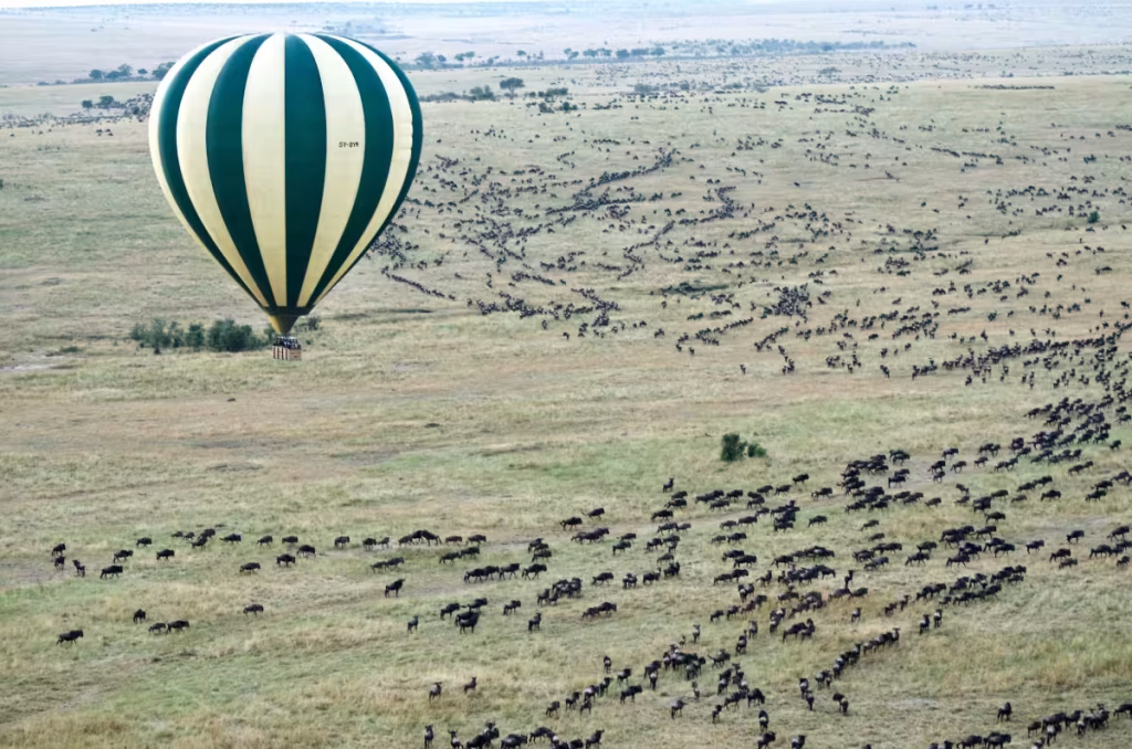 Masai Mara Hot Air Balloon Safari & Champagne Breakfast with ahot sun safaris