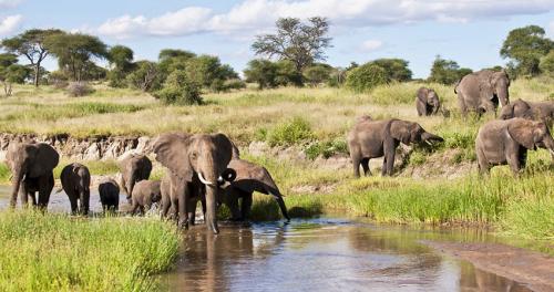 7-Days-Lake-Manyara-Serengeti-NgorongoroTarangire-National-Park-Safari-2