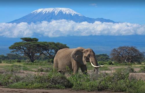 amboseli-national-park.jpg