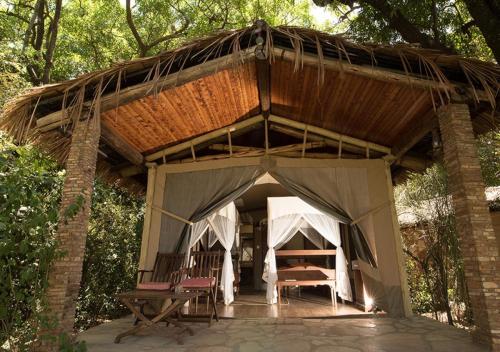 fig tree camp