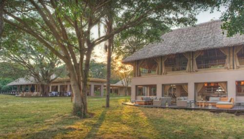 kichwa tembo