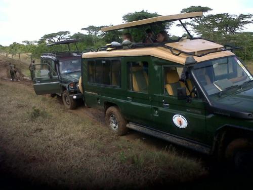 land cruise