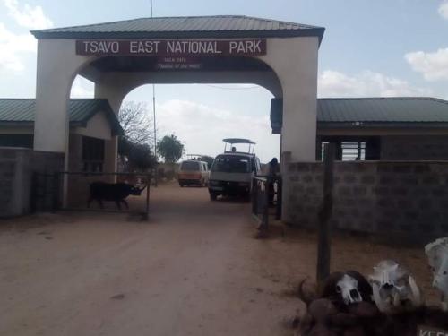 tsavo east entry