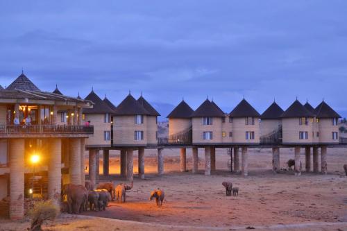 tsavo salt lick