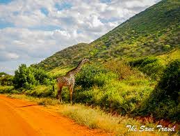 tsavo west